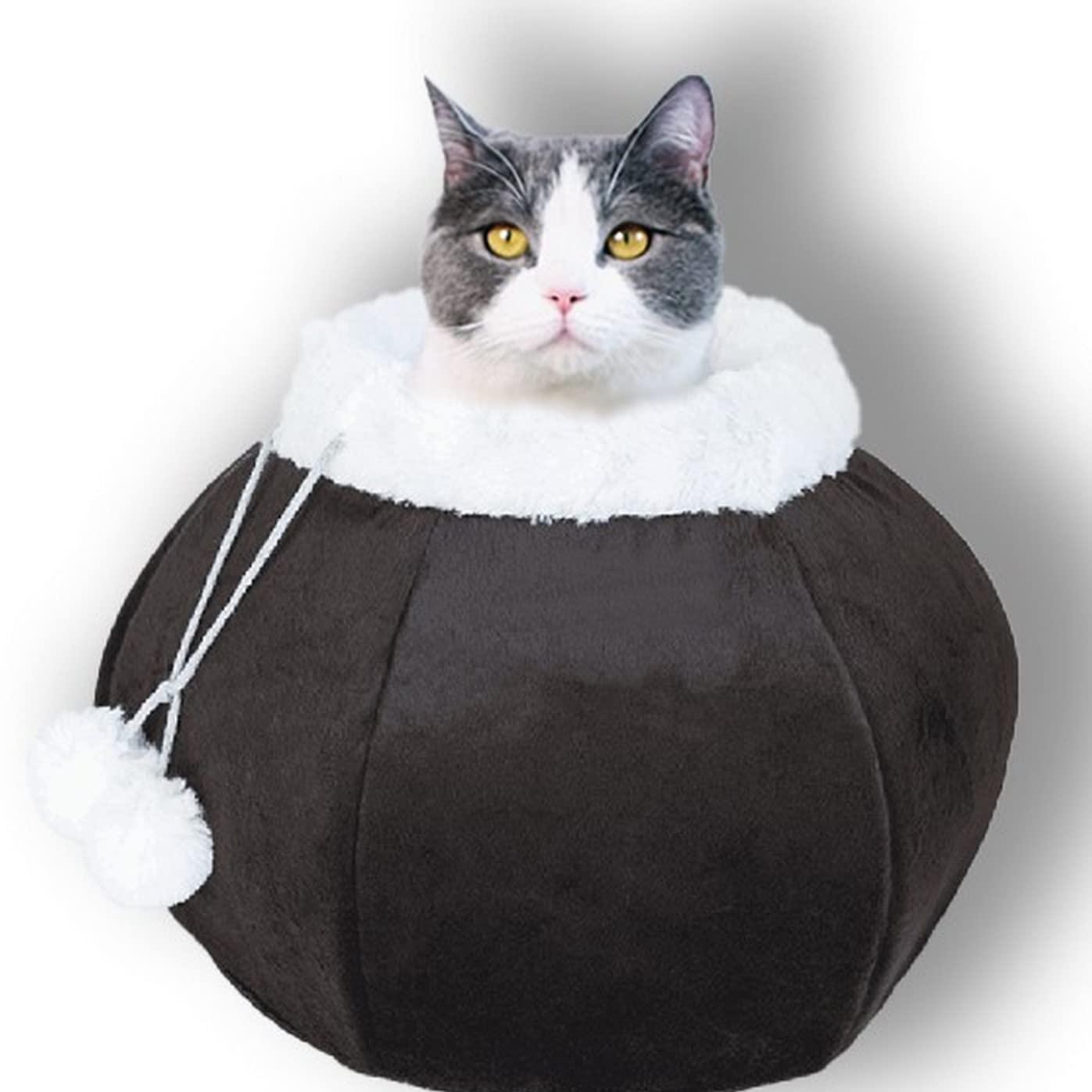 The Ultimate Cat Bed for Your Indoor Feline Friend